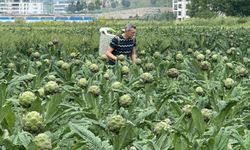Bursa’da toprak betona direniyor