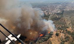 Zeytinlik alandaki yangına 4 helikopterle müdahale