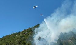 Bursa’daki orman yangınında son durum