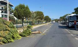 Alanya'da alkollü sürücünün kullandığı midibüs refüjü aşıp karşı şeride geçti