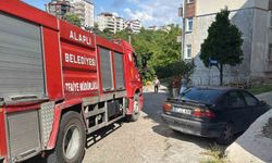 Alaplı'da alev topuna dönen piknik tüpü korkuttu