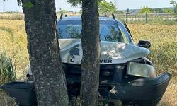 Babaeski'de ağaçlara çarpan otomobilin sürücüsü yaralandı