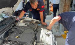 Bir arabadan çıkıp başka arabaların altına giren kedi itfaiyecilere zor anlar yaşattı