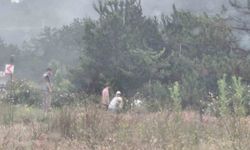 Bolu'da virajı alamayan hafif ticari araç yoldan çıktı: 3 yaralı