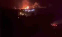 Bursa'da bağ evi alevlere teslim oldu