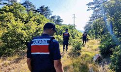 Çanakkale'de orman yangınlarına karşı jandarma ekipleri sahada