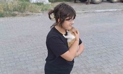 Çorum'da çaya düşen kediyi itfaiye kurtardı