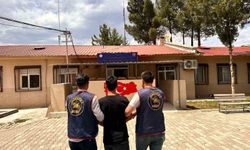 Diyarbakır'da haklarında kesinleşmiş hapis cezası bulunan 141 kişi yakalandı