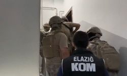 Elazığ merkezli 4 ilde 'Barbaroslar' suç çetesine operasyon: 29 şüpheli yakalandı