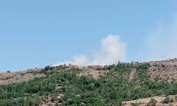 Elazığ'da arazi yangını
