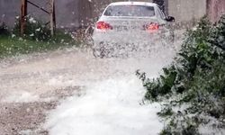 Erciş'te ot yangınları