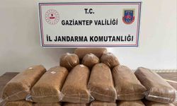 Gaziantep'te 353 aranan şahıs yakalandı