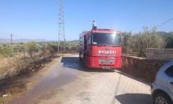 Gaziantep'te zeytinlik alanda yangın