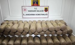 Hakkari'de düzenlenen operasyonda 503 kilogram uyuşturucu madde ele geçirildi