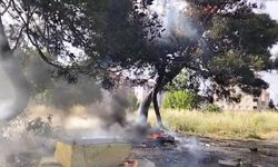 Hurda atık yangını yarım asırlık ağacı küle çevirdi