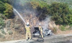 İzmir'de otomobil yangını korkuttu