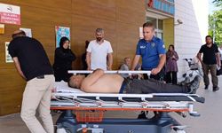 Bursa'da kiraz toplamak için ağaca çıktı, düşerek ağır yaralandı