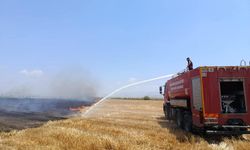 Kırıkhan'da anız yangını yaşandı