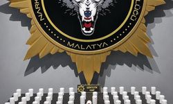 Malatya'da torbacı operasyonu: 2 gözaltı
