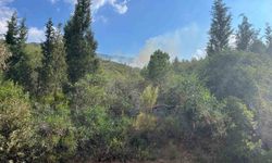 Marmaris'te yıldırım kaynaklı orman yangını