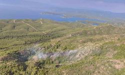 Marmaris'teki yıldırım kaynaklı orman yangını söndürüldü