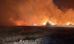 Mazıdağı'nda dün gece çıkan yangında ekili araziler zarar gördü