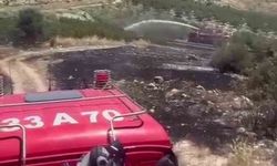 Mersin'de 6 dekar bahçe yangında zarar gördü