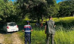 Orman yangınlarıyla mücadele tedbirleri masaya yatırıldı