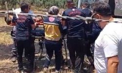 Osmaniye'de anız yangını meyve bahçelerine sıçradı: 1 kişi hastanelik oldu
