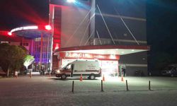Otomobil yola çıkan köpeğe çarptı: 4 yaralı