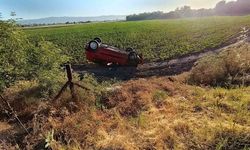 Pancar tarlasına uçan araçtaki 2 kişi yaralandı
