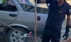 Park halindeki otomobile giren yılan paniğe neden oldu