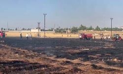 Şanlıurfa'da çıkan yangında 60 dönüm buğday ekili alan zarar gördü