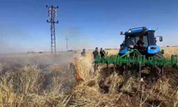 Şanlıurfa'da onlarca dönümlük arpa ekili tarla kül oldu
