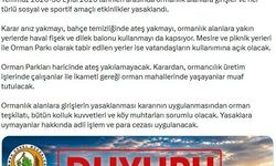 Sıcaklıklar arttı, ormanlara giriş yasaklandı