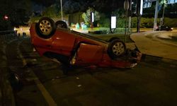 Şişli'de alkollü sürücü yoluna çıkan köpeğe çarpmamak için takla attı