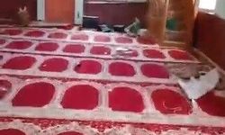 Tahrip edilen köy camisi belediye ekiplerince yeniden ibadete hazır hale getirildi
