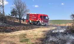 Tekirdağ'da 25 dönüm buğday ekili alan yandı