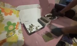Tekirdağ'da Bir haftada 124 operasyon: Uyuşturucu tacirlerine ağır darbe 19 tutuklama