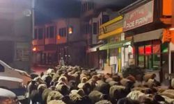 Tokat'ta yayla göçünde yüzlerce koyun şehir merkezinden geçti