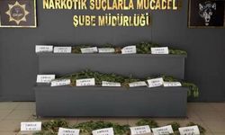 UNESCO Dünya Mirası Listesi'ndeki Hevsel Bahçeleri'nde uyuşturucu ele geçirildi