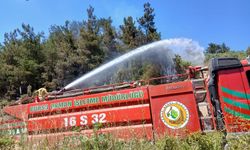 Bursa’da piknik alanı çevresinde yangın çıktı