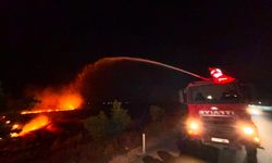 Anız yangını zeytinlik alana sıçradı