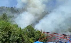 Bursa'da ormanlık alanda korkutan yangın