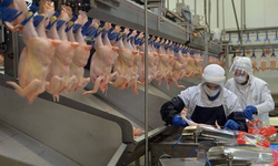 Beyaz et fiyatlarına denetim: Marketlere 10 milyon TL ceza
