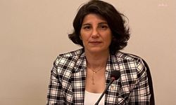 Bursa Veteriner Odası'ndan kızıl geyiklerin avlanmasına yönelik ihaleye tepki