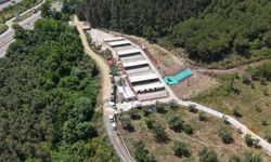 Bursa'ya 16 dönümlük yeni köpek barınağı