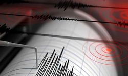 Van'da korkutan deprem