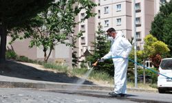 Bursa'da 136 mahallede ilaçlama seferberliği