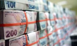 TÜİK açıkladı